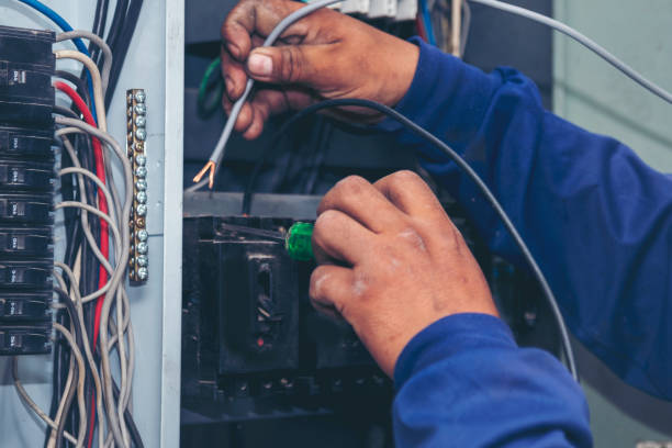 Best Local Electrician Companies  in Pocahontas, IA